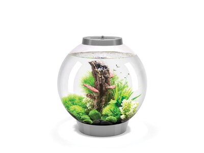 Fish Tanks & Aquariums For Sale That you'll Love in 2021 | Wayfair